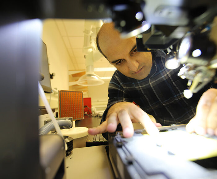 Younes Radi in his lab