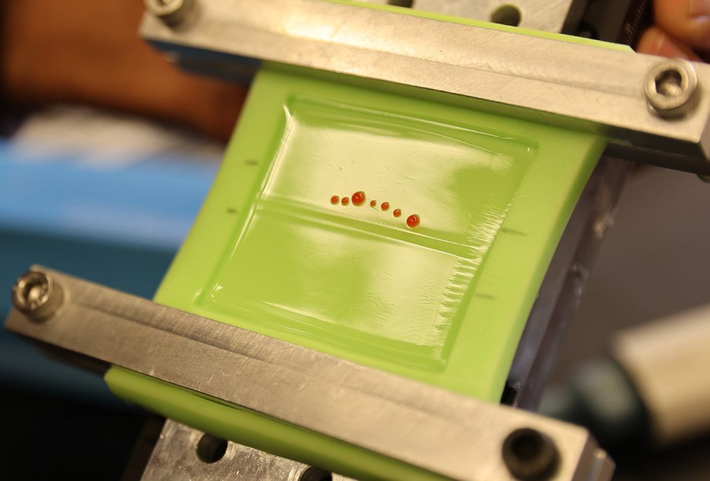 Creases are narrow, self-contacting downward folds that form when a soft, rubber-like surface is compressed
